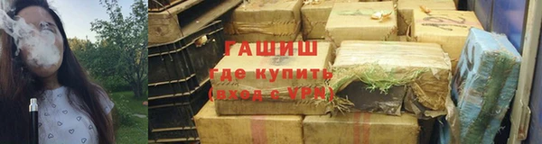 стаф Белокуриха