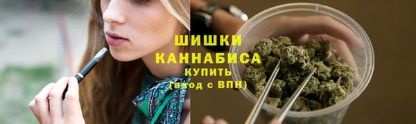 стаф Белокуриха