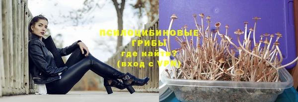 стафф Белоозёрский