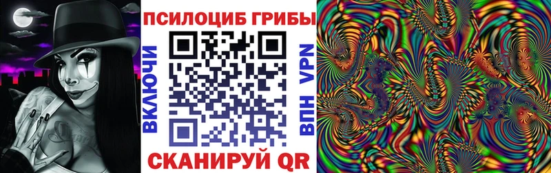 Псилоцибиновые грибы мицелий  купить закладку  Динская 